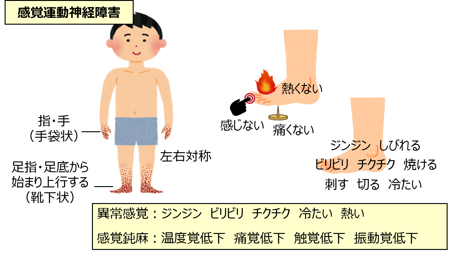 糖尿病神経障害 くにちか内科クリニック