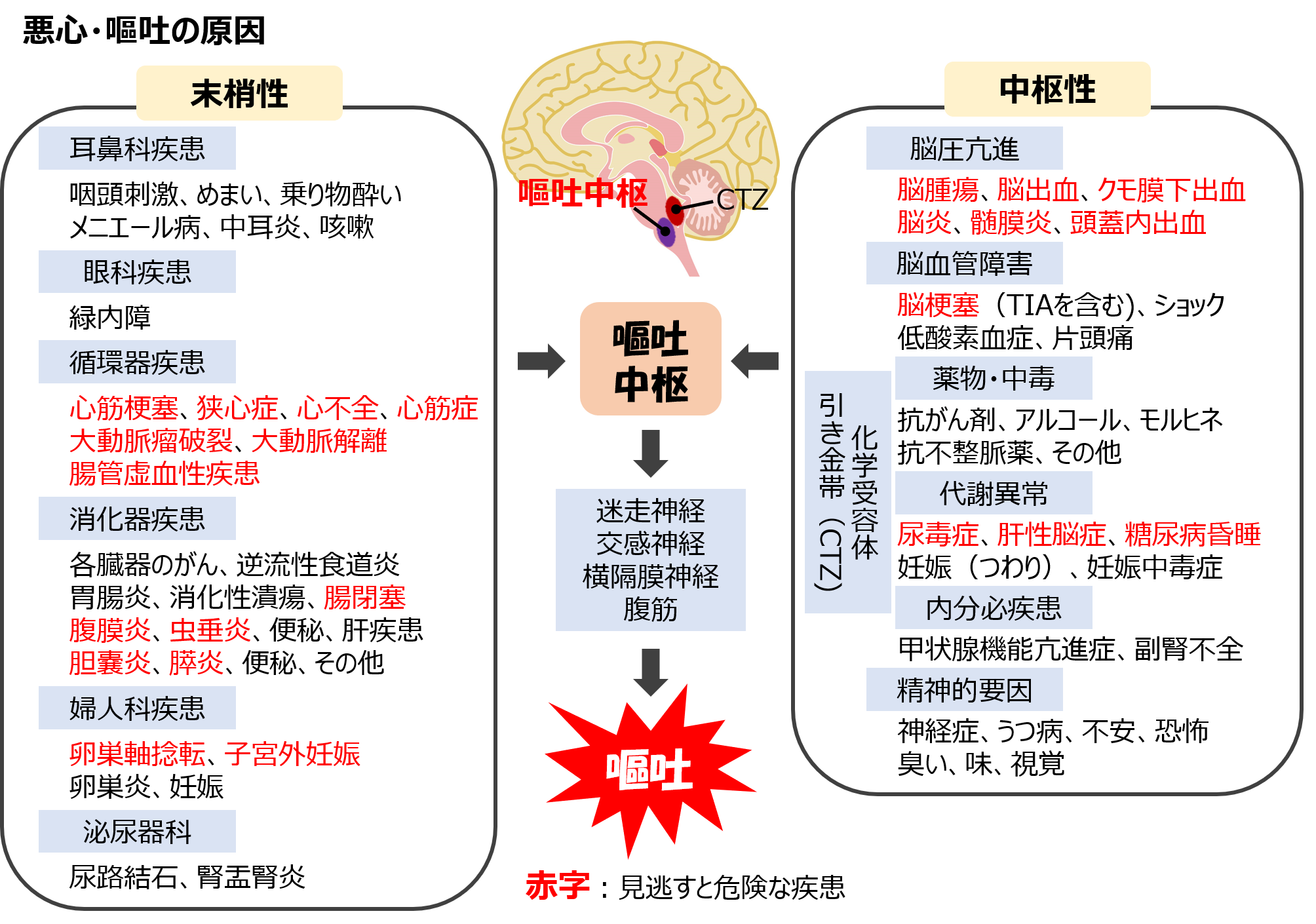 12. アルコールの飲みすぎ